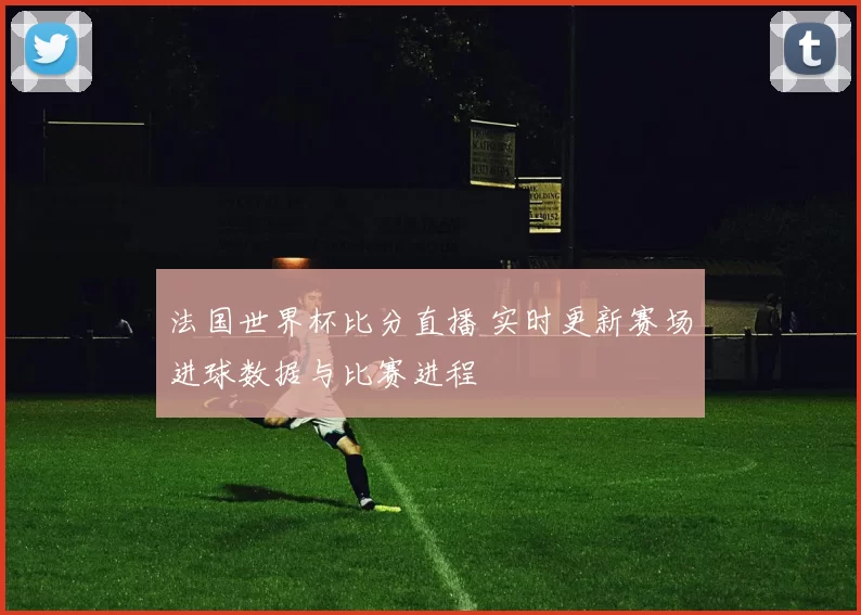 法国世界杯比分直播 实时更新赛场进球数据与比赛进程