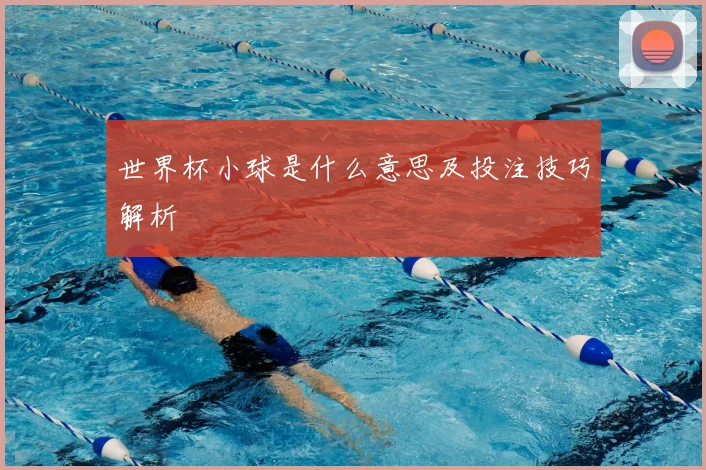 世界杯小球是什么意思及投注技巧解析