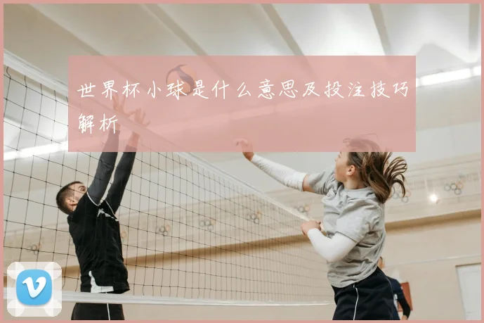 世界杯小球是什么意思及投注技巧解析