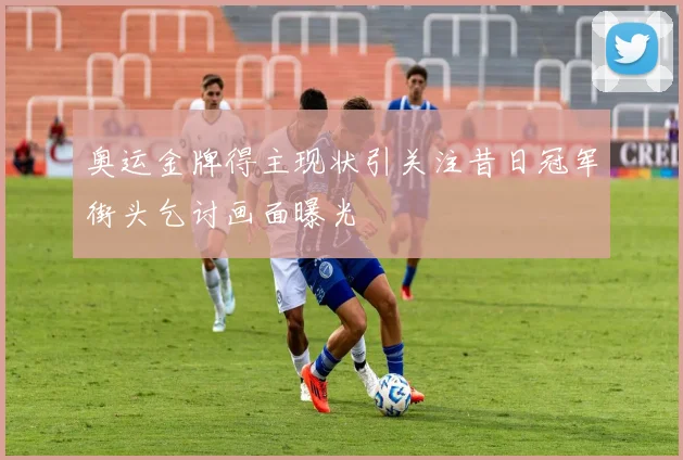 奥运金牌得主现状引关注昔日冠军街头乞讨画面曝光